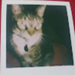 Meet your Posher, Isis